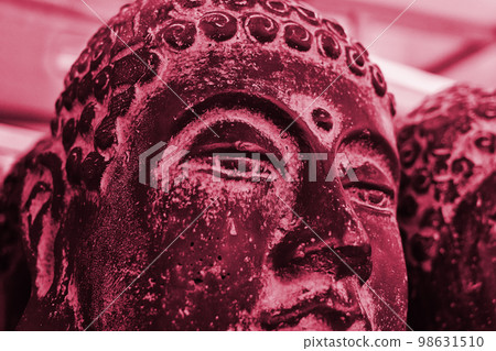 Viva Magenta monochrome color palette. Closeup statue Buddha head. Modern Art concept, soft focus 98631510