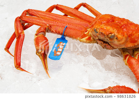 Matsuba Crab Tagged Snow Crab Matsuba Crab Tagged Snow Crab 98631826