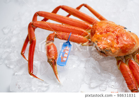 松葉蟹 Tagged Snow Crab 98631831