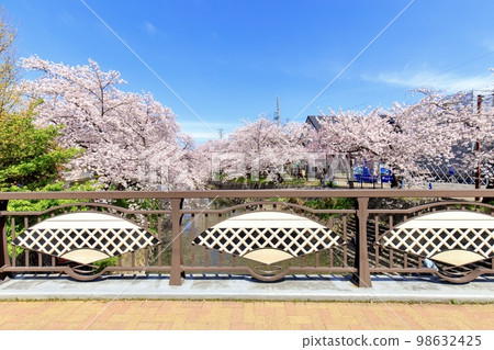 岩倉市：五條川沿岸盛開的櫻花樹 98632425