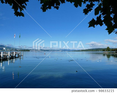 Lake Zurich in summer (Rapperswil, Switzerland) Lake Zurich in summer (Rapperswil, Switzerland) 98633215