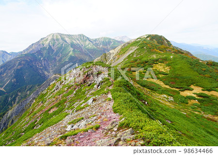 南阿爾卑斯山上河內岳一側的南嶽和聖岳 98634466