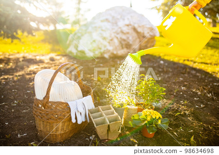Gardening tools outdoors start a sowing season seedtime watering a seeds sun light Gardening tools outdoors start a sowing season seedtime watering a seeds sun light 98634698