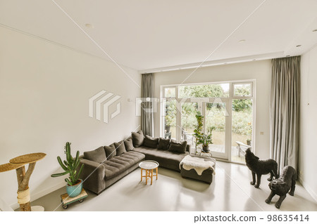 a living room with two couches and a cat sitting on the floor in front of the window looking out to the garden 98635414