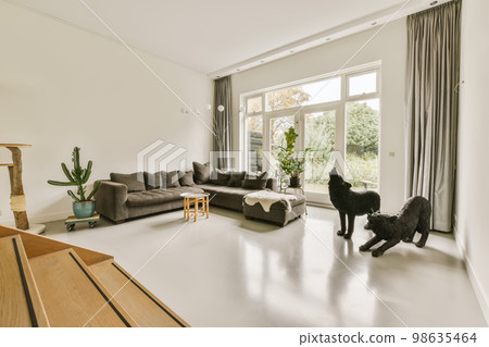 a living room with two couches and a cat standing on the floor in front of the window looking out 98635464