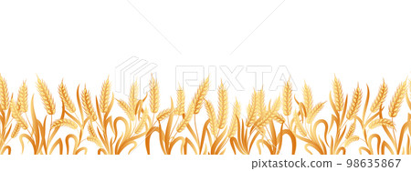 Seamless border of spikelets of wheat, rye, barley with copy space. Background, vector Seamless border of spikelets of wheat, rye, barley with copy space. Background, vector 98635867