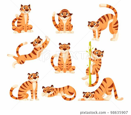 Adult Tiger with Striped Coat in Different Pose Vector Set 98635907