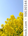 強姦開花 98636544