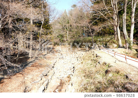 Suwa Taisha Shrine Shimosha Harumiya area Togawa 1 Suwa Taisha Shrine Shimosha Harumiya area Togawa 1 98637028