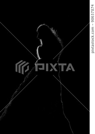 Mono chacma baboon on termite mound backlit 98637874