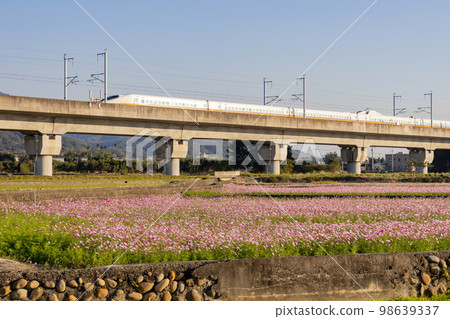 Sunny view of wild flower blossom with high speed railway train pass by Sunny view of wild flower blossom with high speed railway train pass by 98639337