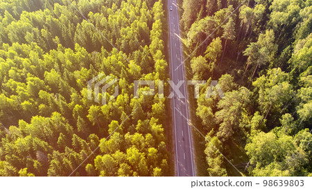Road in a coniferous forest view from a height, sunlight, concept of travel by car Road in a coniferous forest view from a height, sunlight, concept of travel by car 98639803