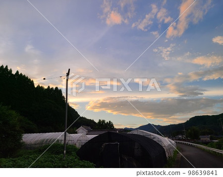 Sunset sky in the country 98639841