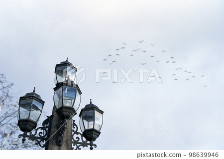 Vintage street lighting lamppost against the sky Vintage street lighting lamppost against the sky 98639946