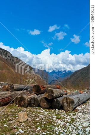 Stakes of old felled trees in the mountains. Landscape view of the mountain valley Stakes of old felled trees in the mountains. Landscape view of the mountain valley 98640112