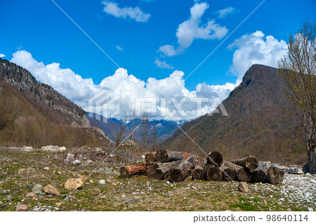 Stakes of old felled trees in the mountains. Landscape view of the mountain valley Stakes of old felled trees in the mountains. Landscape view of the mountain valley 98640114