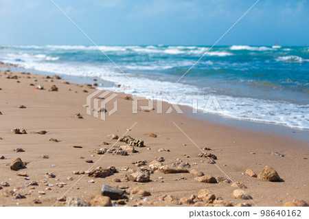 Shells and stones on the sandy seashore. A long-awaited vacation at sea 98640162