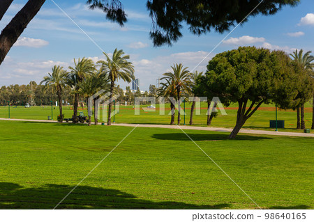 Green lawns of the city recreation park Green lawns of the city recreation park 98640165