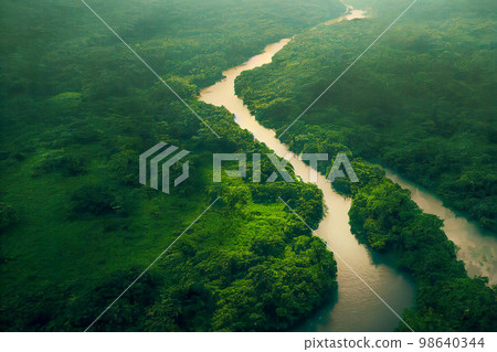 Aerial view of Panama Canal on the Atlantic side 98640344