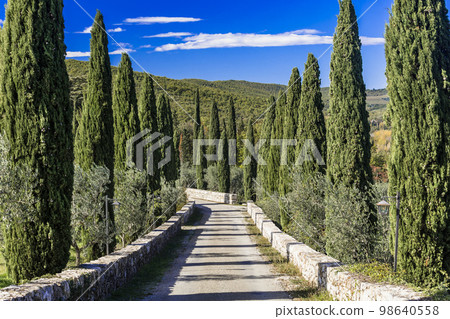 Romantic scenic Tuscany countryside. Alley walk from cypresses trees, typical for tuscan region of Italy Romantic scenic Tuscany countryside. Alley walk from cypresses trees, typical for tuscan region of Italy 98640558