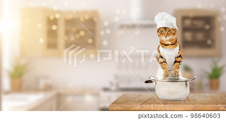 A cat in a chefs suit is in the kitchen. A cat in a chefs suit is in the kitchen. 98640603