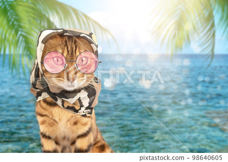 A cat in sunglasses and a scarf on the background of a tropical sea. A cat in sunglasses and a scarf on the background of a tropical sea. 98640605