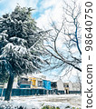 Large coniferous trees covered in snow and an open space 98640750