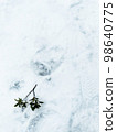 Leaf near footprints on snow 98640775