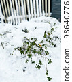 Street trees covered in snow 98640776