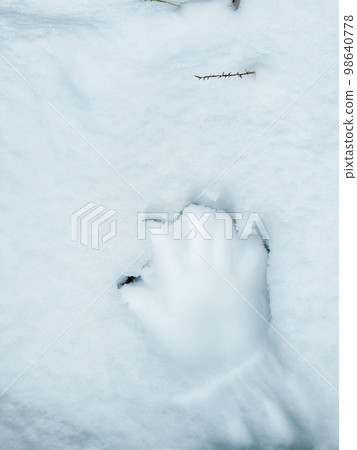 Child's hand prints on the fresh snow 98640778