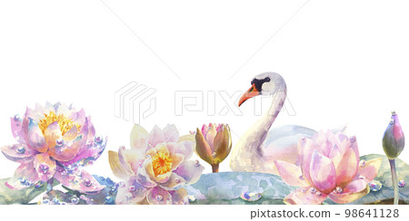 Water lily with swan. Greeting card with watercolor wild flowers on a white background. Lotus. illustration. 98641128