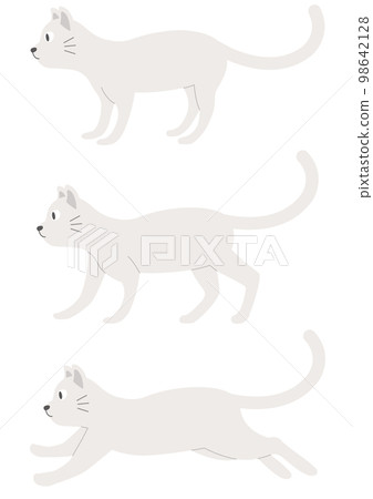 Set of white cat illustrations _ 1 _ white cat Set of white cat illustrations _ 1 _ white cat 98642128