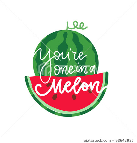YOU ARE ONE IN A MELON summer lettering greeting card, print for t-shirt. Vector flat Illustration typographical background with pink and green hand drawn Watermelon. 98642955