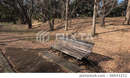 Winter landscape-lawn and trees, a bench in the sun 98643252