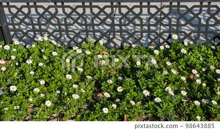 Part of decorative colorful metal fence Part of decorative colorful metal fence 98643885