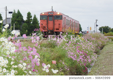 東野尻附近的城端線 Cosmos 和柴油車 Kiha 47 東野尻附近的城端線 Cosmos 和柴油車 Kiha 47 98643999