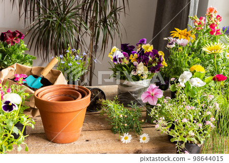 Spring decoration of a home balcony or terrace 98644015