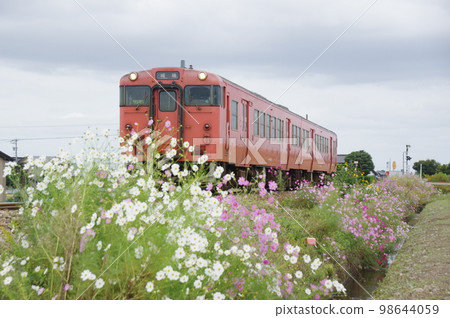 Johana Line Near Higashinojiri Cosmos and Diesel Car Kiha 47 Johana Line Near Higashinojiri Cosmos and Diesel Car Kiha 47 98644059