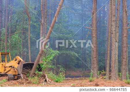 During construction process tractor skid steers were used to clear land uprooted trees from for subdivision development 98644785