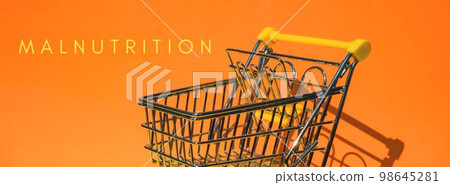 MALNUTRITION text Empty shopping trolley cart on colorful orange background. Online shopping, buy mall market shop consumer concept. Small toy supermarket grocery push cart. Rising food cost, grocery 98645281