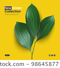 Beautifully Detailed Photorealistic Vector Illustration of an Ornamental Plant Stem with Three 98645877
