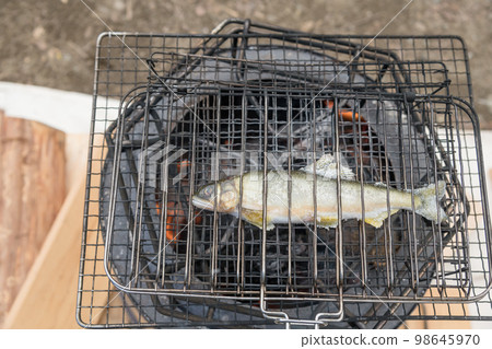 [在汽車露營地使用餘燼進行鹽烤養殖的香魚] 98645970