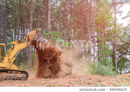 In order prepare ground for subdivision development, tractor skid steers were used to uproot trees that were growing way during construction 98646624