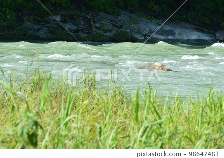 Arakawa (Nagatoro-machino, Chichibu-gun, Saitama Prefecture) Arakawa (Nagatoro-machino, Chichibu-gun, Saitama Prefecture) 98647481