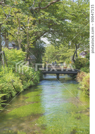 Ume花藻類的清醒很好 98647535