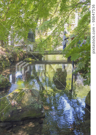 Ume花藻類的清醒很好 Ume花藻類的清醒很好 98647536