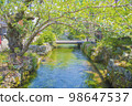 Ume flower algae of Awake well 98647537