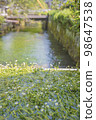 Ume flower algae of Awake well 98647538
