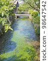 Ume flower algae of Awake well 98647542