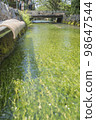 Ume flower algae of Awake well 98647544